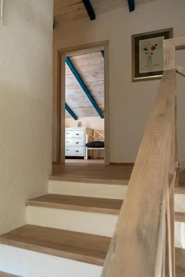 Villa Julijud, Heated Pool, Jacuzzi, Dome And Sauna Brajkovici  Kroatien