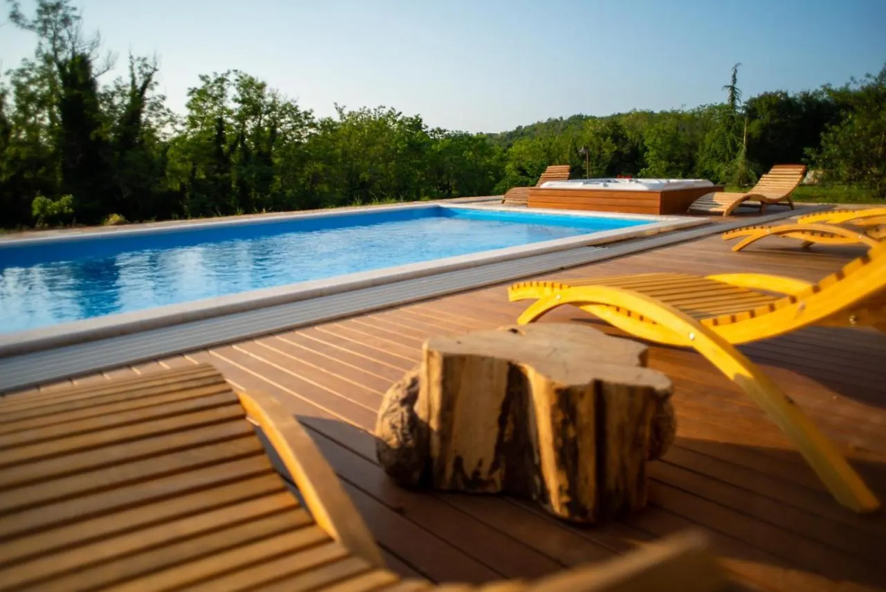 Julijud, Heated Pool, Jacuzzi, Dome And Sauna Brajkovici  Villa Brajkovici (Pazin)